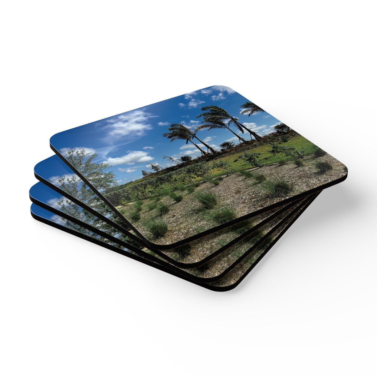 Corkwood Coaster Set- Babcock Ranch