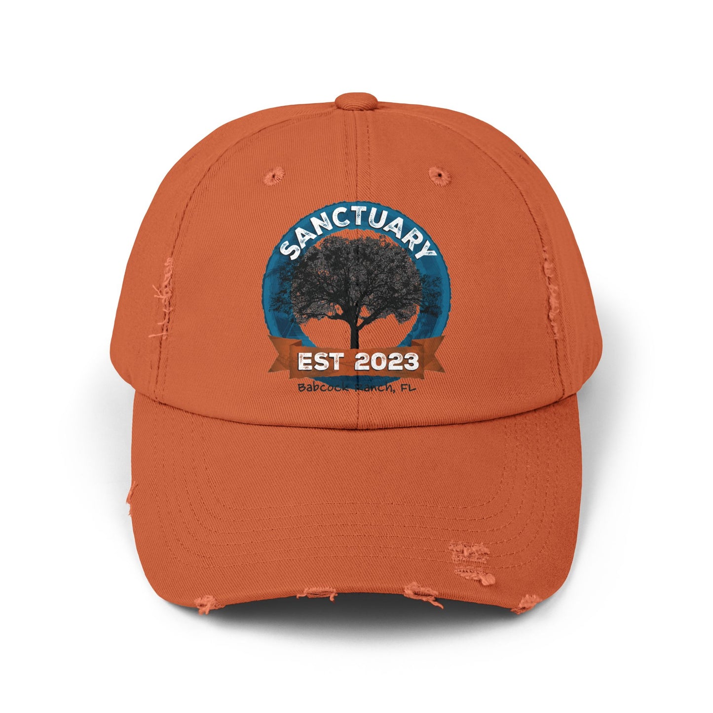 Unisex Distressed Cap