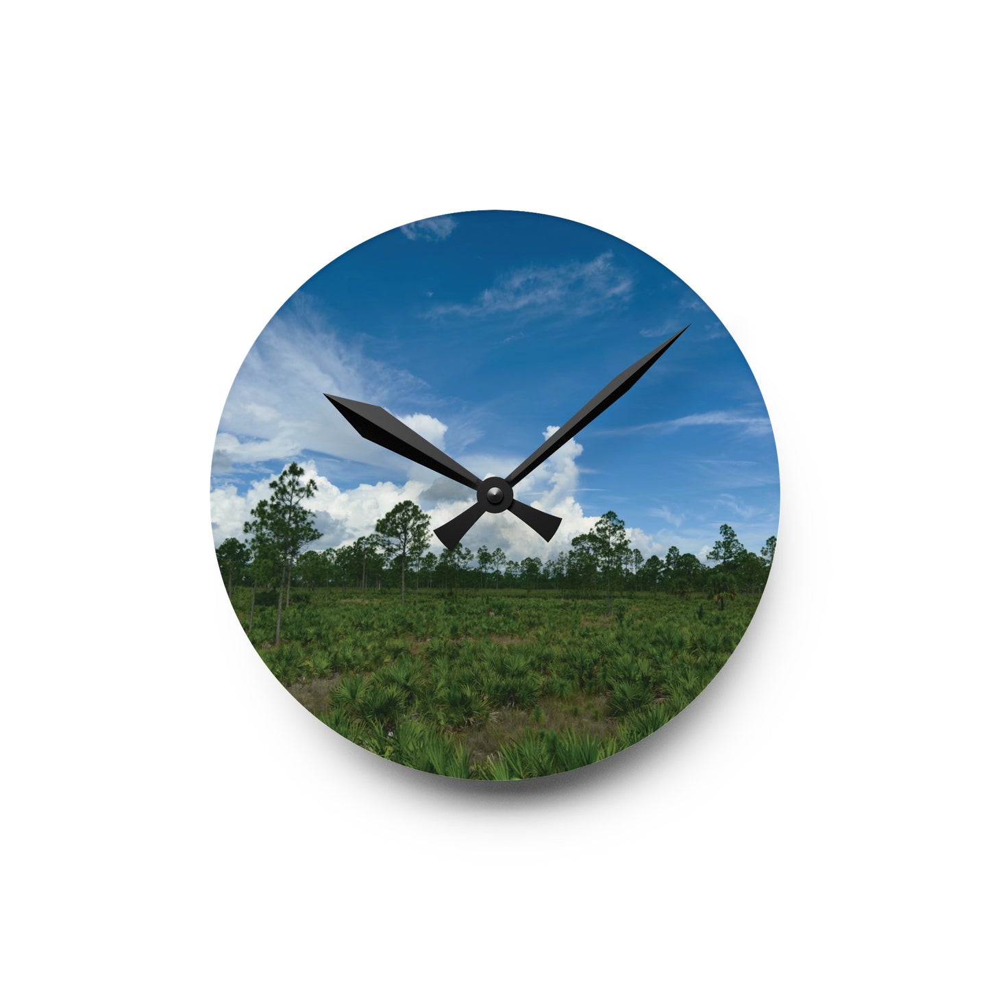 Acrylic Wall Clock- Babcock Ranch Preserves