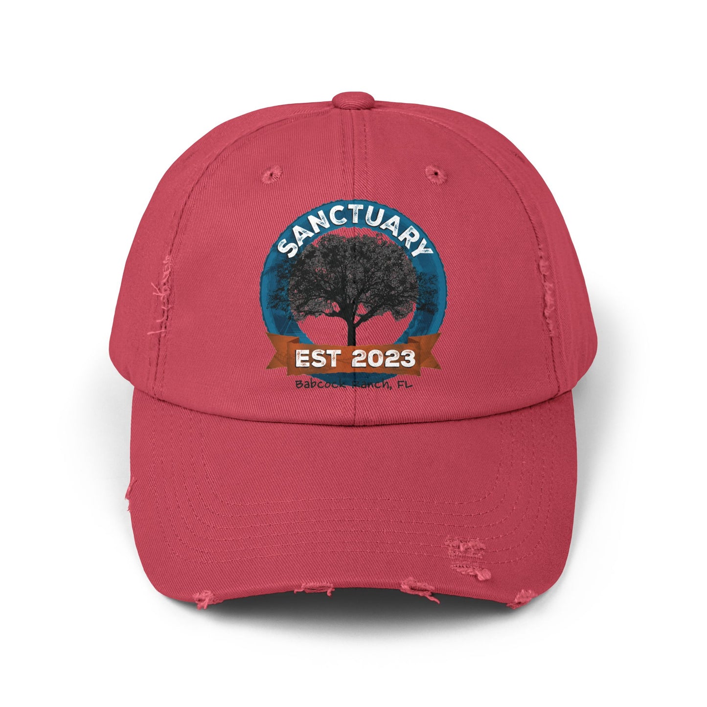 Unisex Distressed Cap