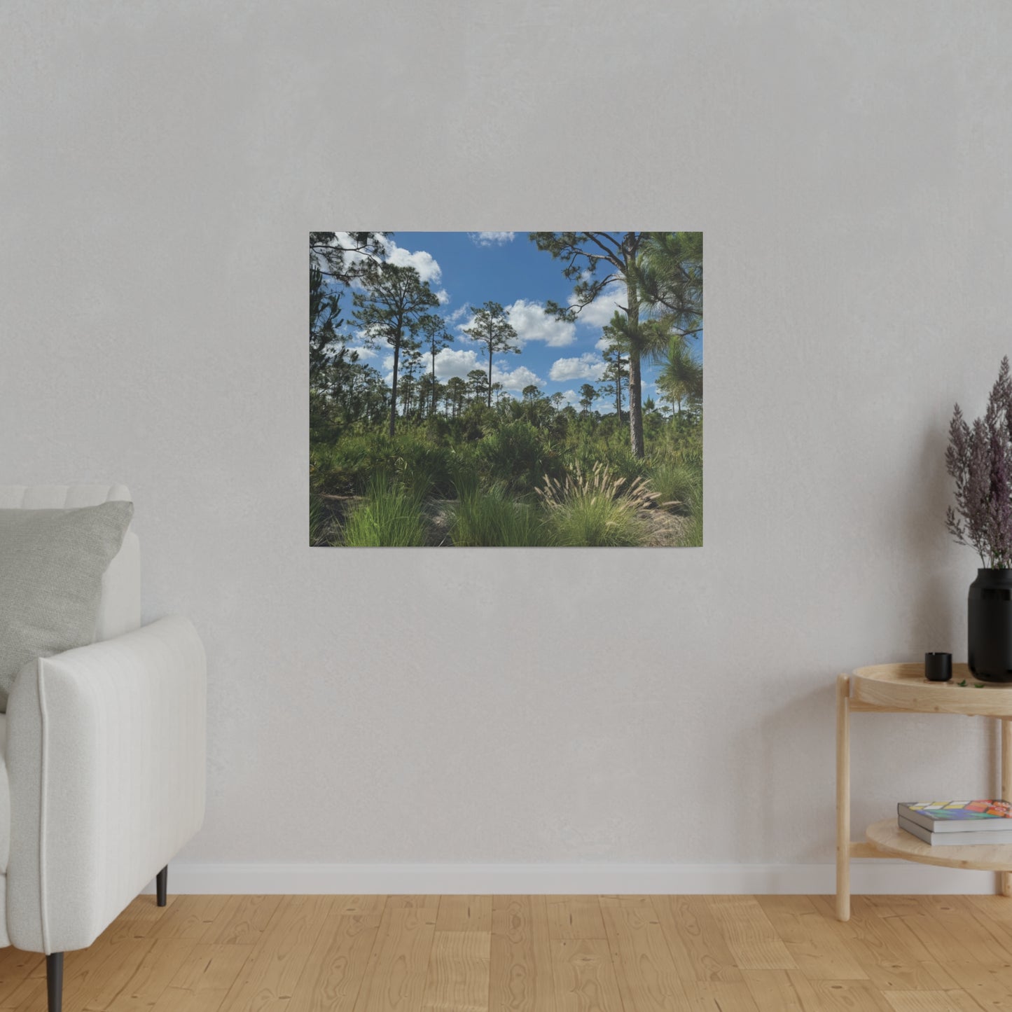 Matte Canvas, Stretched, 0.75"- Babcock Ranch Preserve