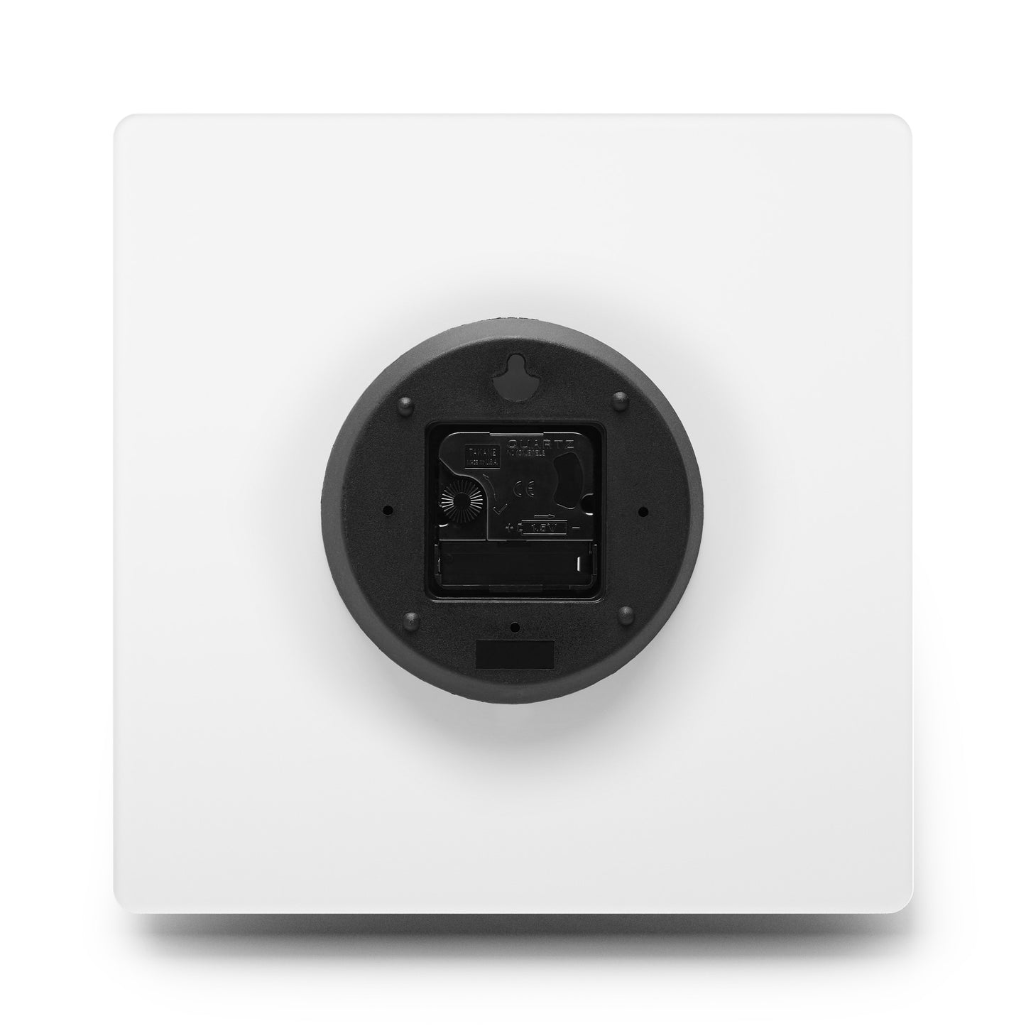 Acrylic Wall Clock- Babcock Ranch Preserves