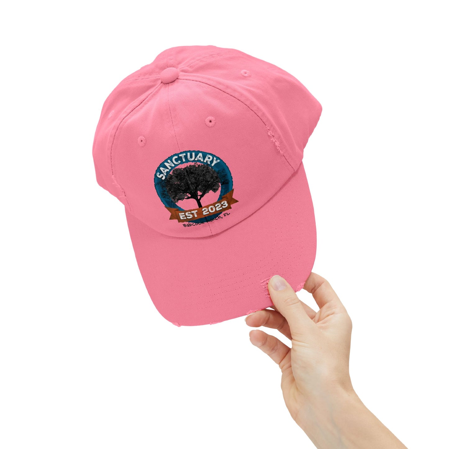 Unisex Distressed Cap