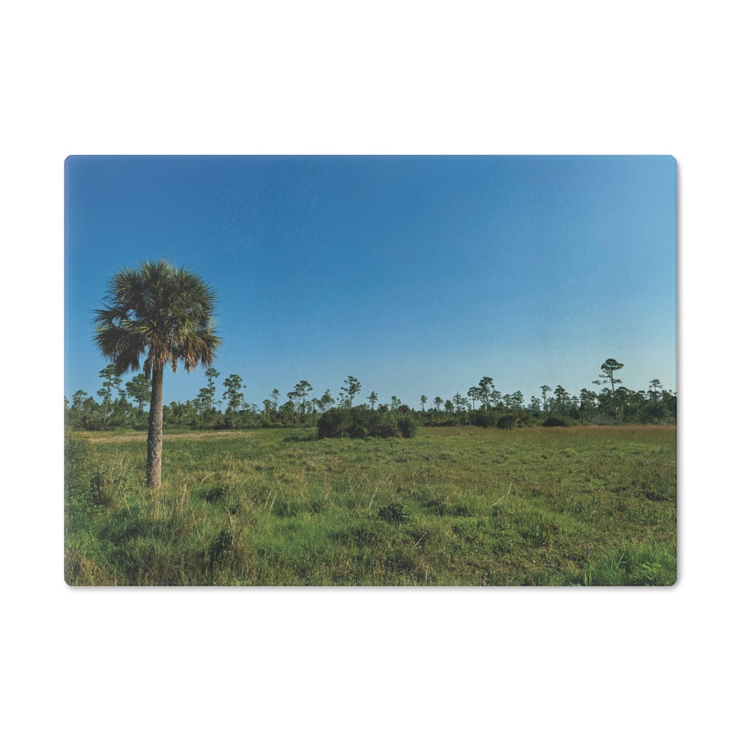 Cutting Board