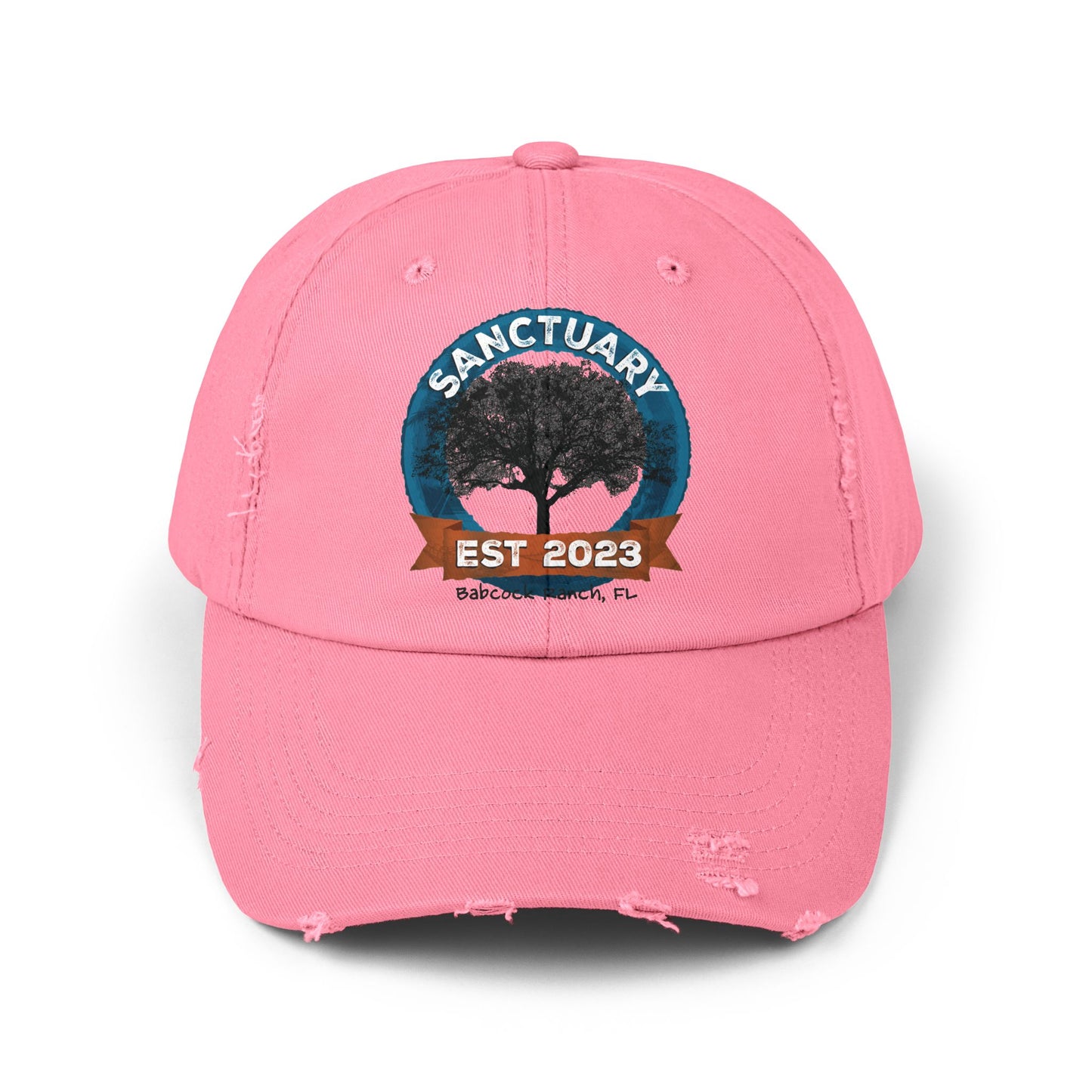 Unisex Distressed Cap