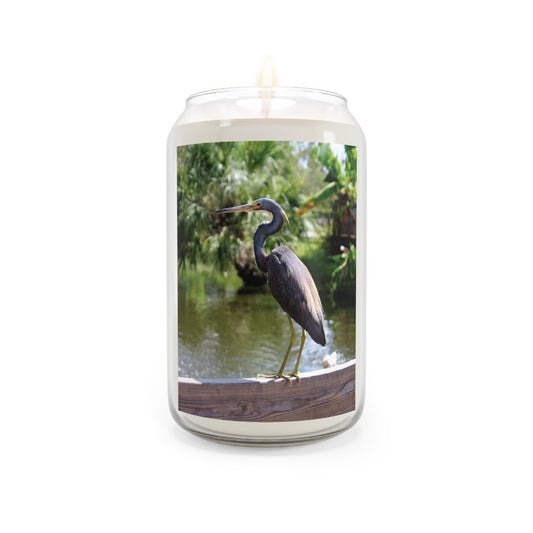 Scented Candle, 13.75oz