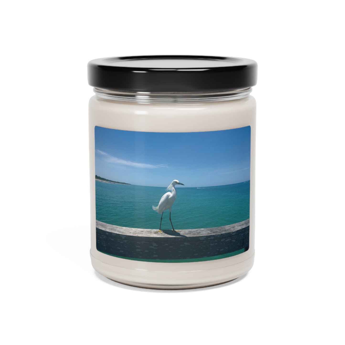 Scented Soy Candle, 9oz- Venice Beach