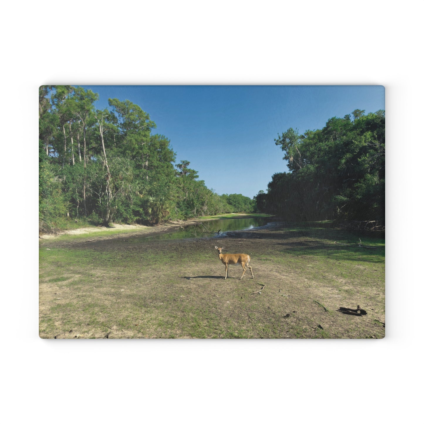 Glass Cutting Board