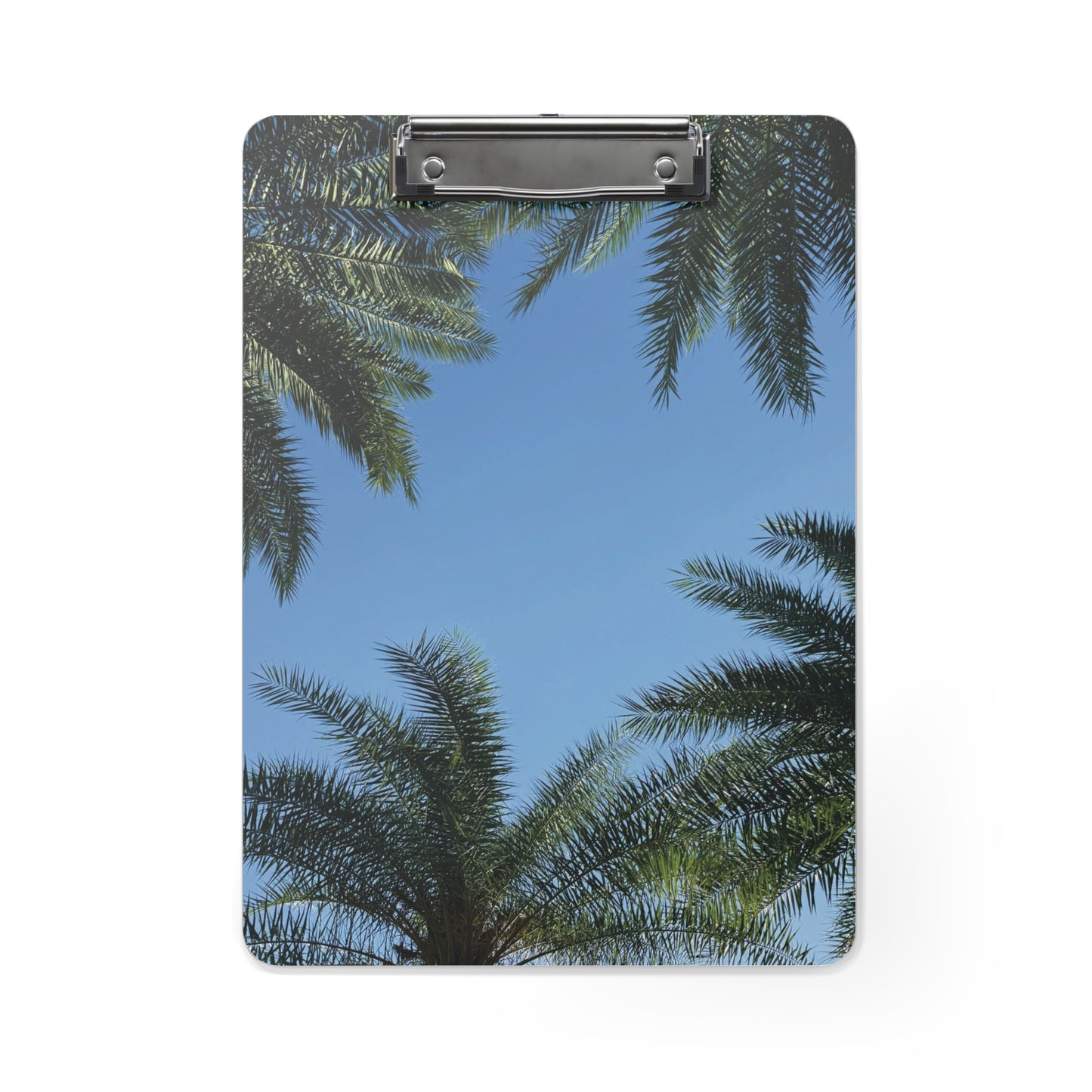 Clipboard- Babcock Ranch Palm Trees