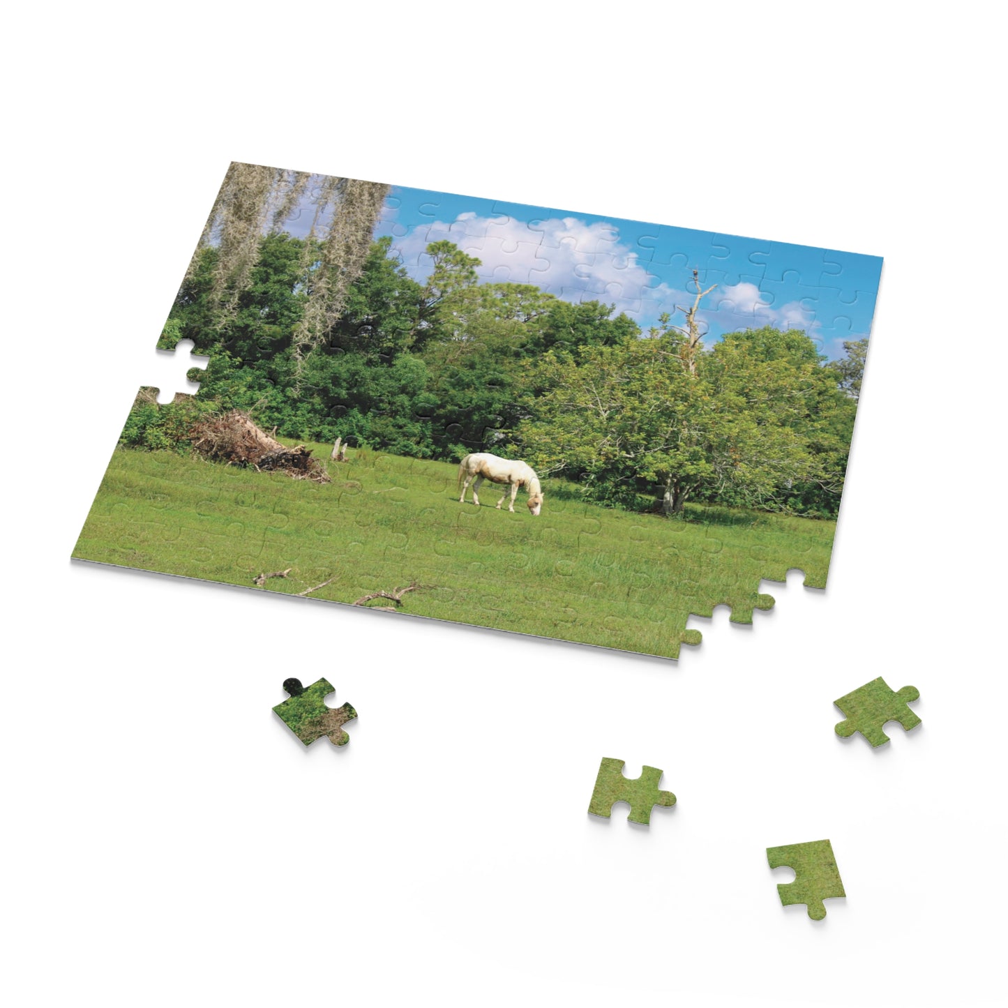 Puzzle (120, 252-Piece)