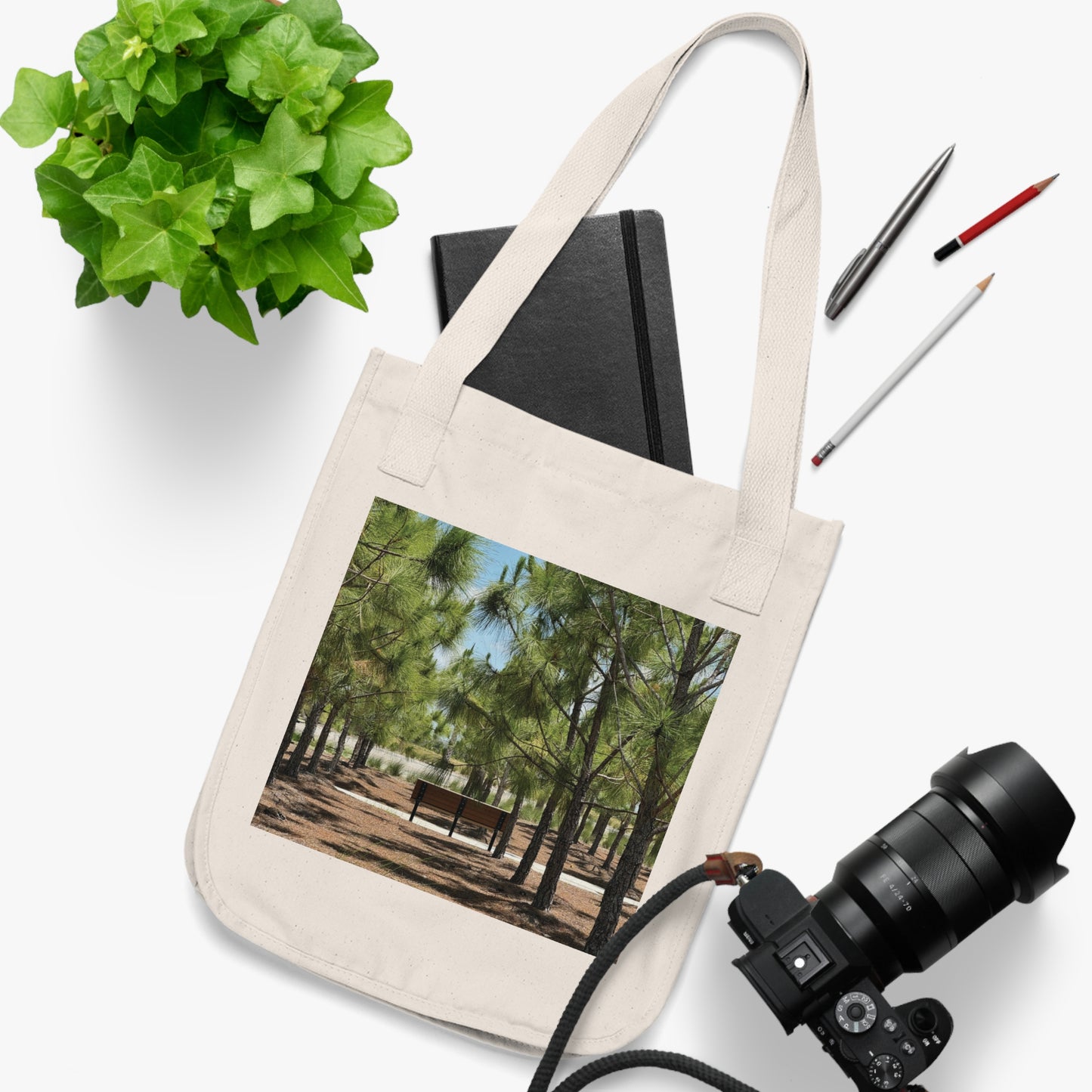 Organic Canvas Tote Bag- Bullhorn Park