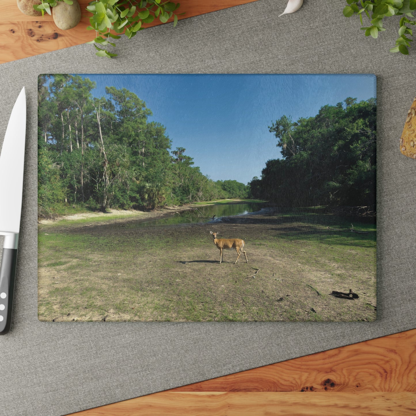 Glass Cutting Board