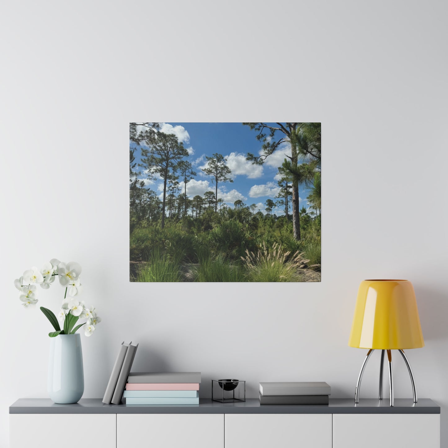 Matte Canvas, Stretched, 0.75"- Babcock Ranch Preserve