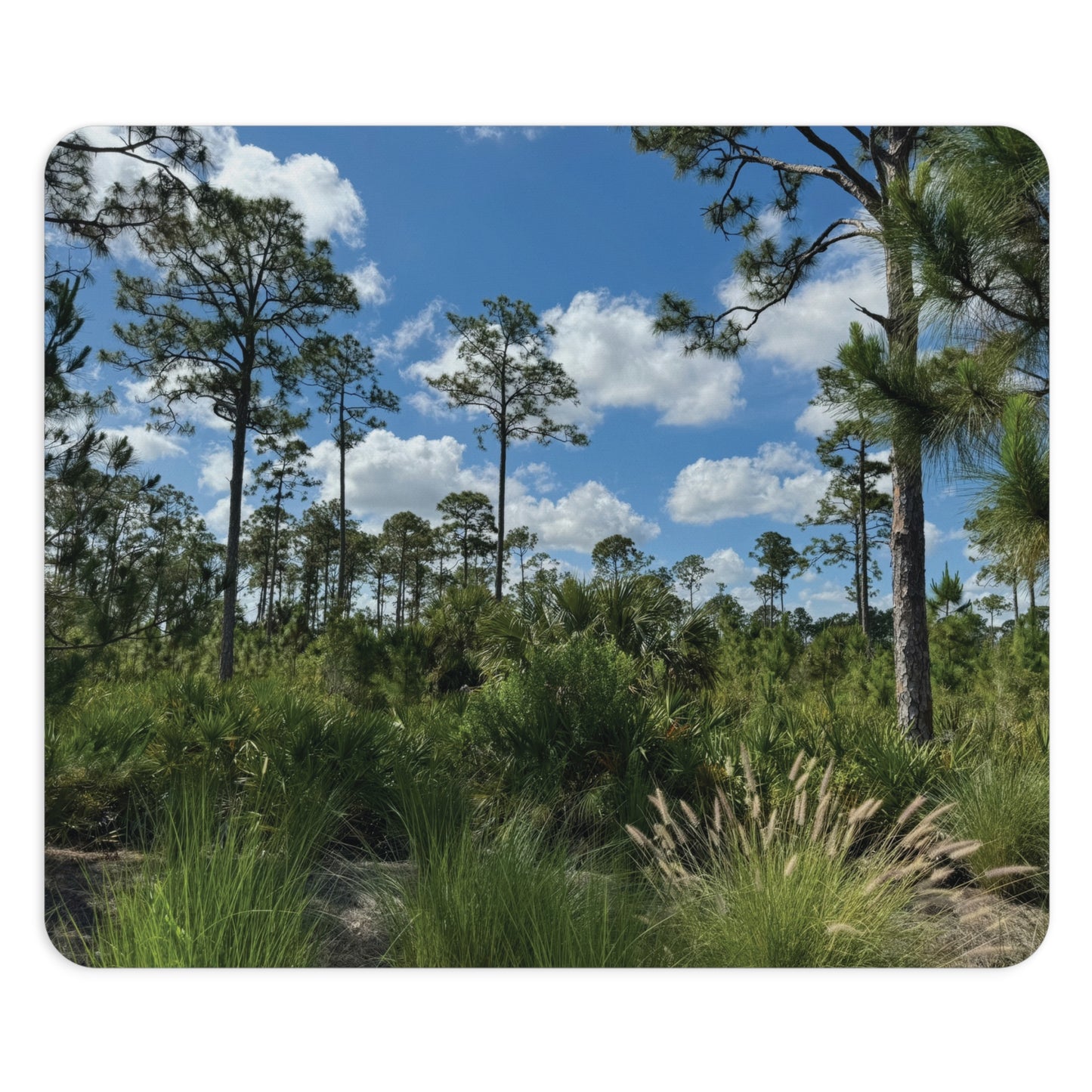 Mouse Pad- Babcock Ranch Preserve