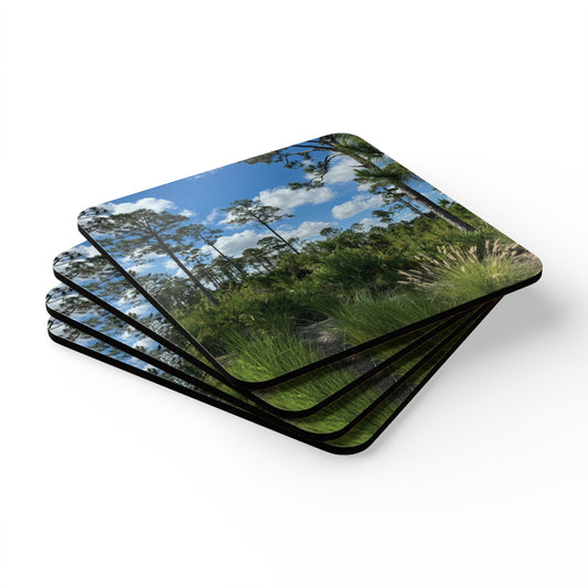 Corkwood Coaster Set- Babcock Ranch Preserve