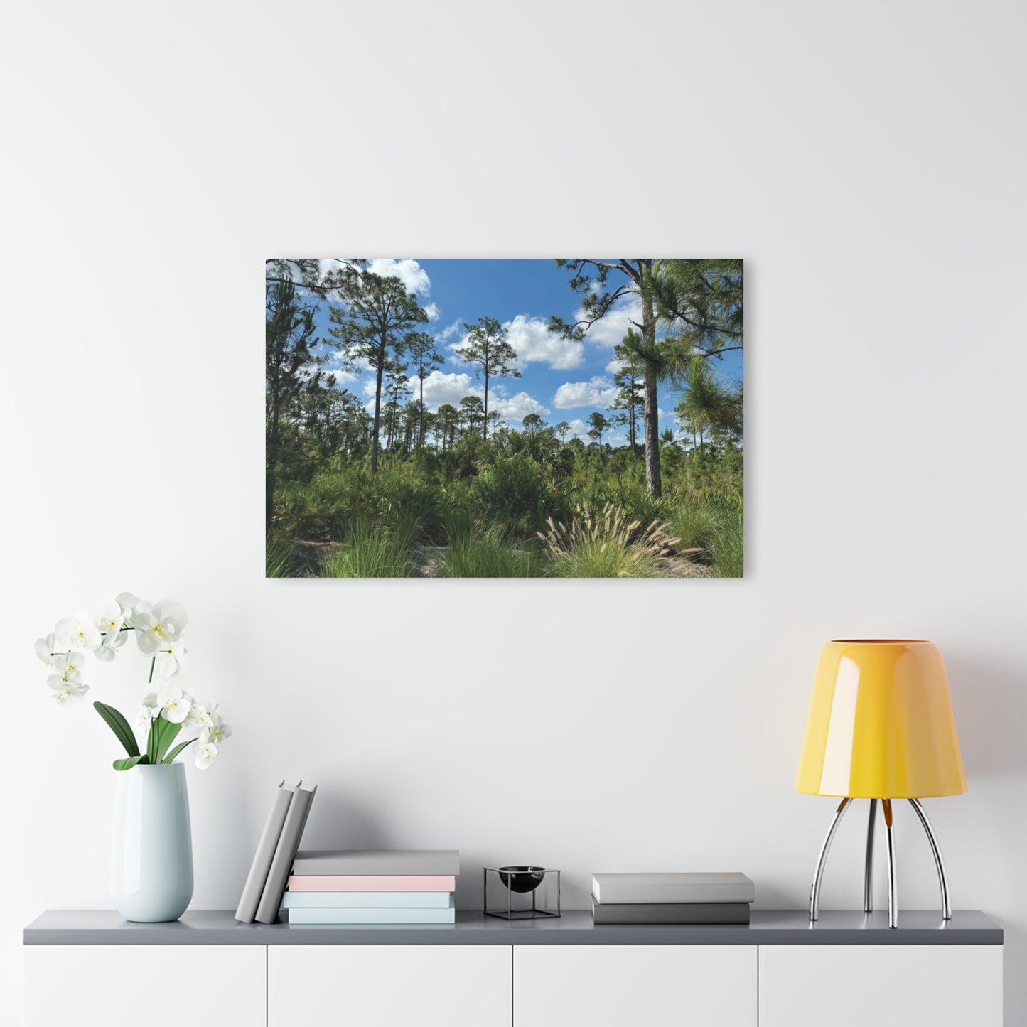 Acrylic Prints (French Cleat Hanging)-Babcock Ranch Preserve