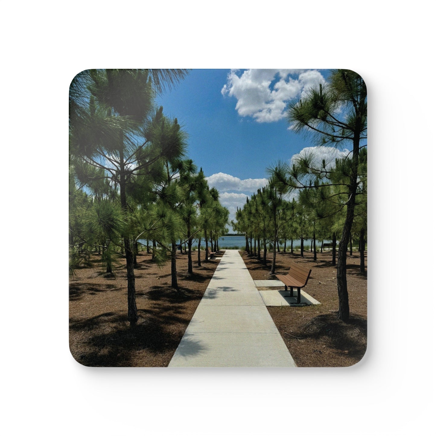 Corkwood Coaster Set- Bullhorn Park