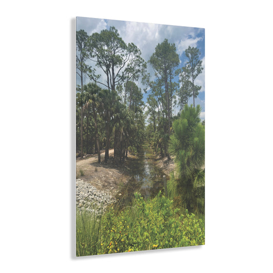 Acrylic Prints- Babcock Ranch Nature Trail