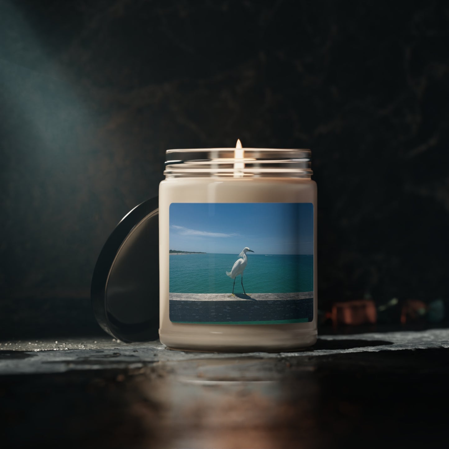 Scented Soy Candle, 9oz- Venice Beach