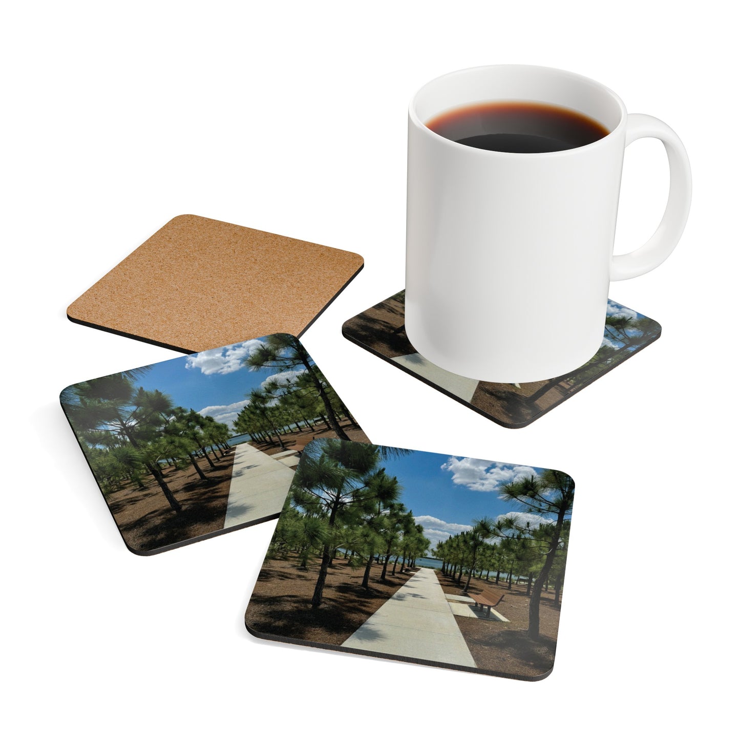 Corkwood Coaster Set- Bullhorn Park