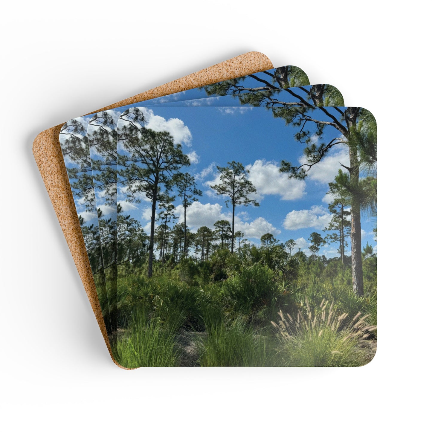 Corkwood Coaster Set- Babcock Ranch Preserve