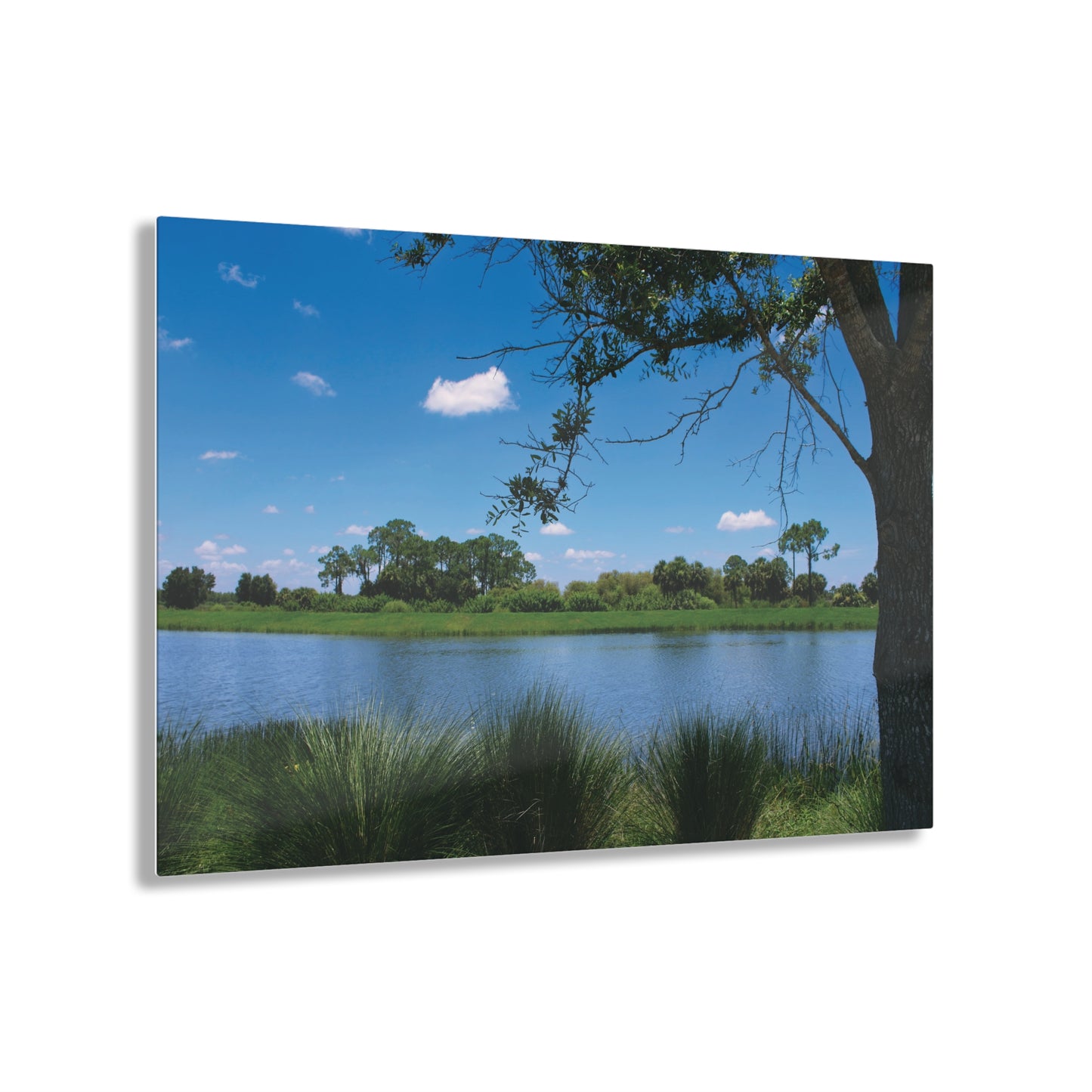 Acrylic Prints