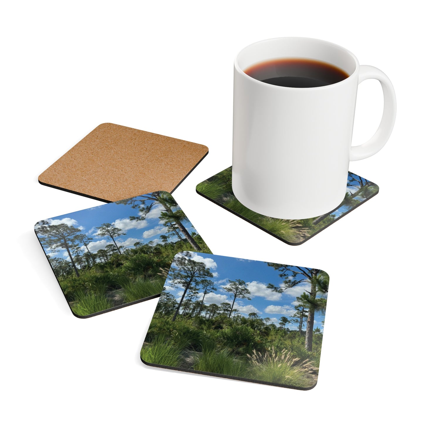 Corkwood Coaster Set- Babcock Ranch Preserve