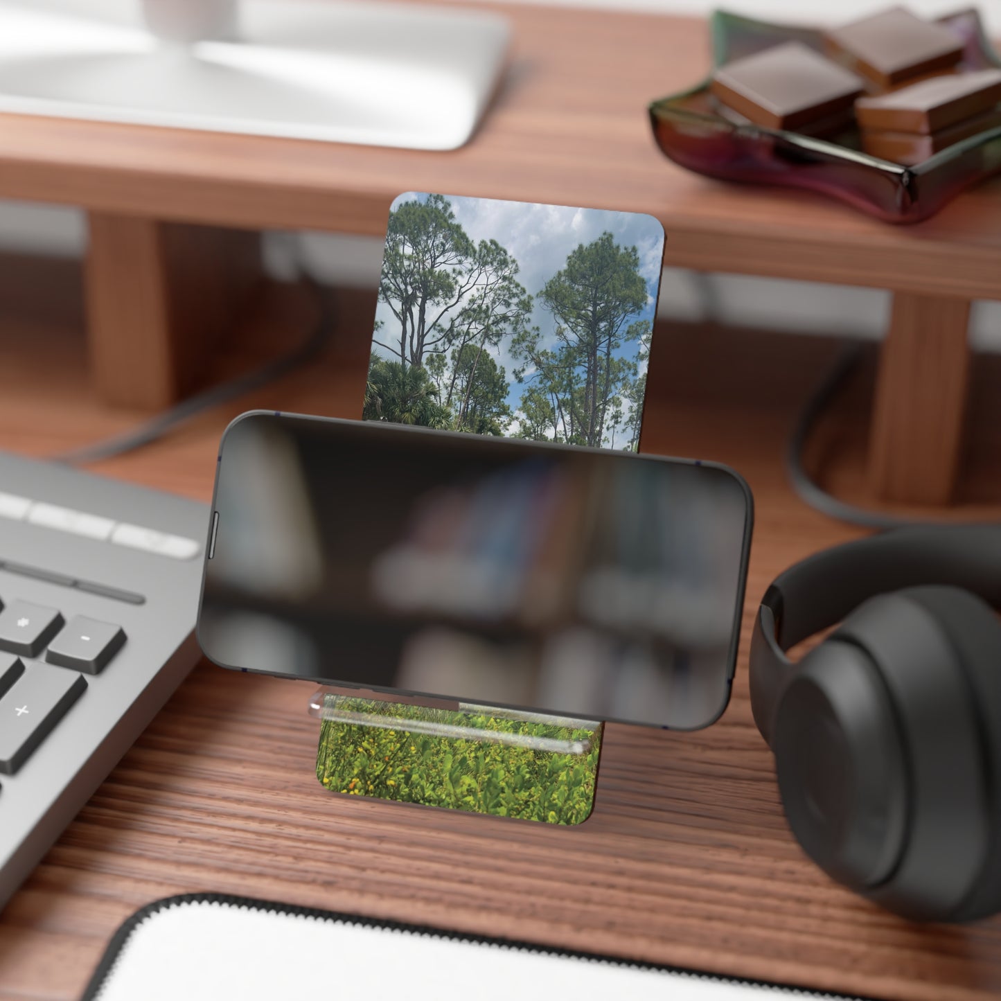 Mobile Display Stand for Smartphones- Babcock Ranch Nature Trail