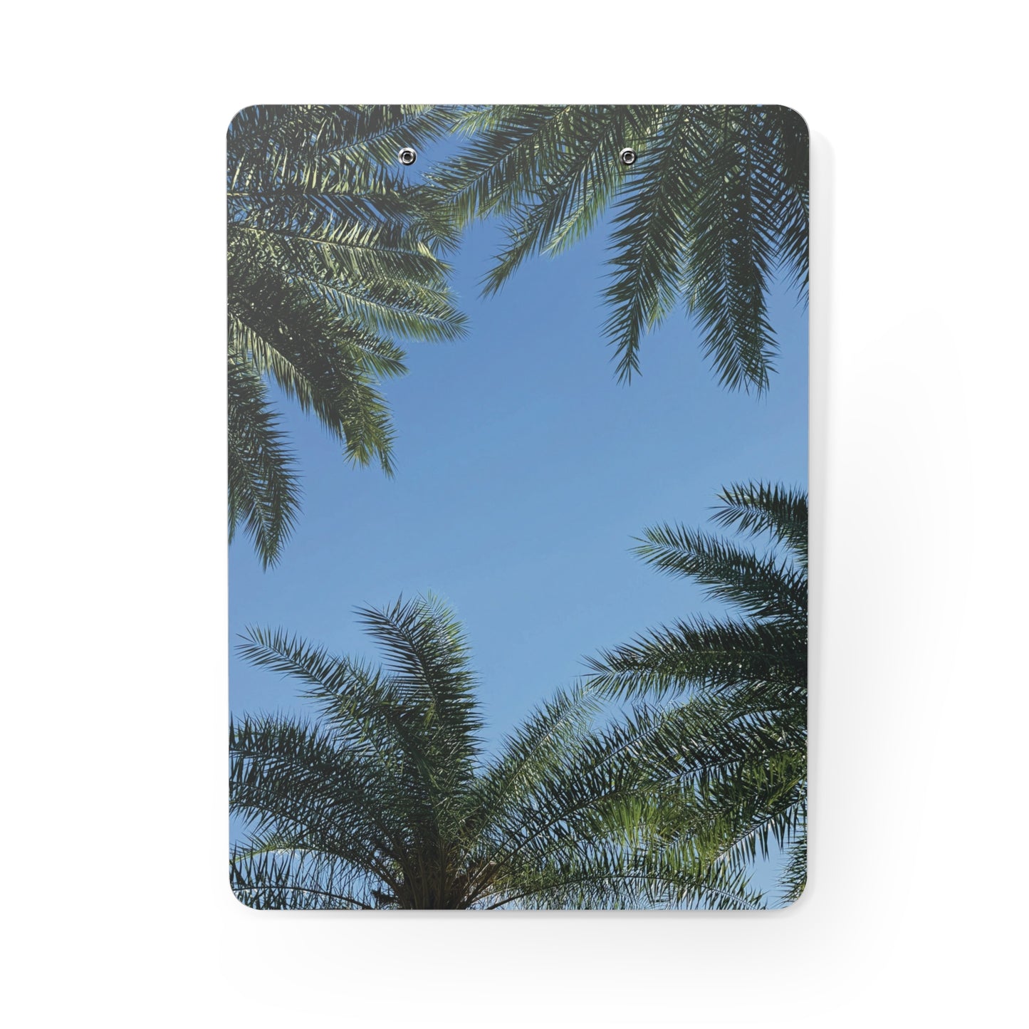 Clipboard- Babcock Ranch Palm Trees