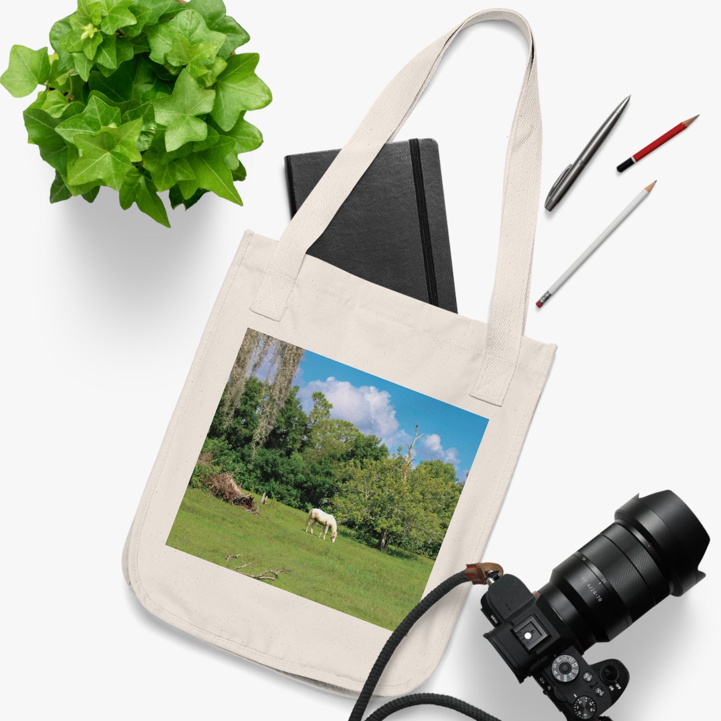 Organic Canvas Tote Bag