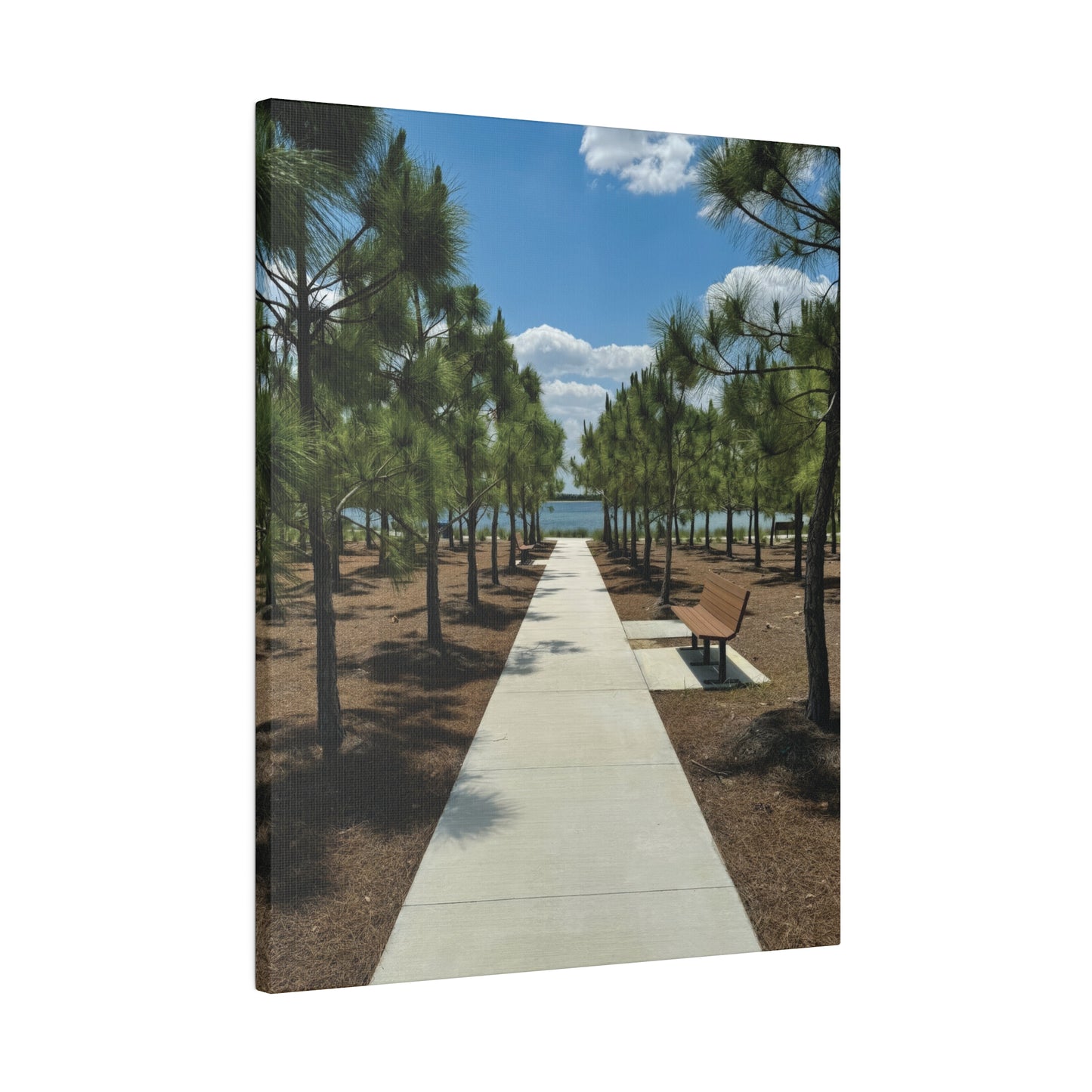 Matte Canvas, Stretched, 0.75"- Bullhorn Park