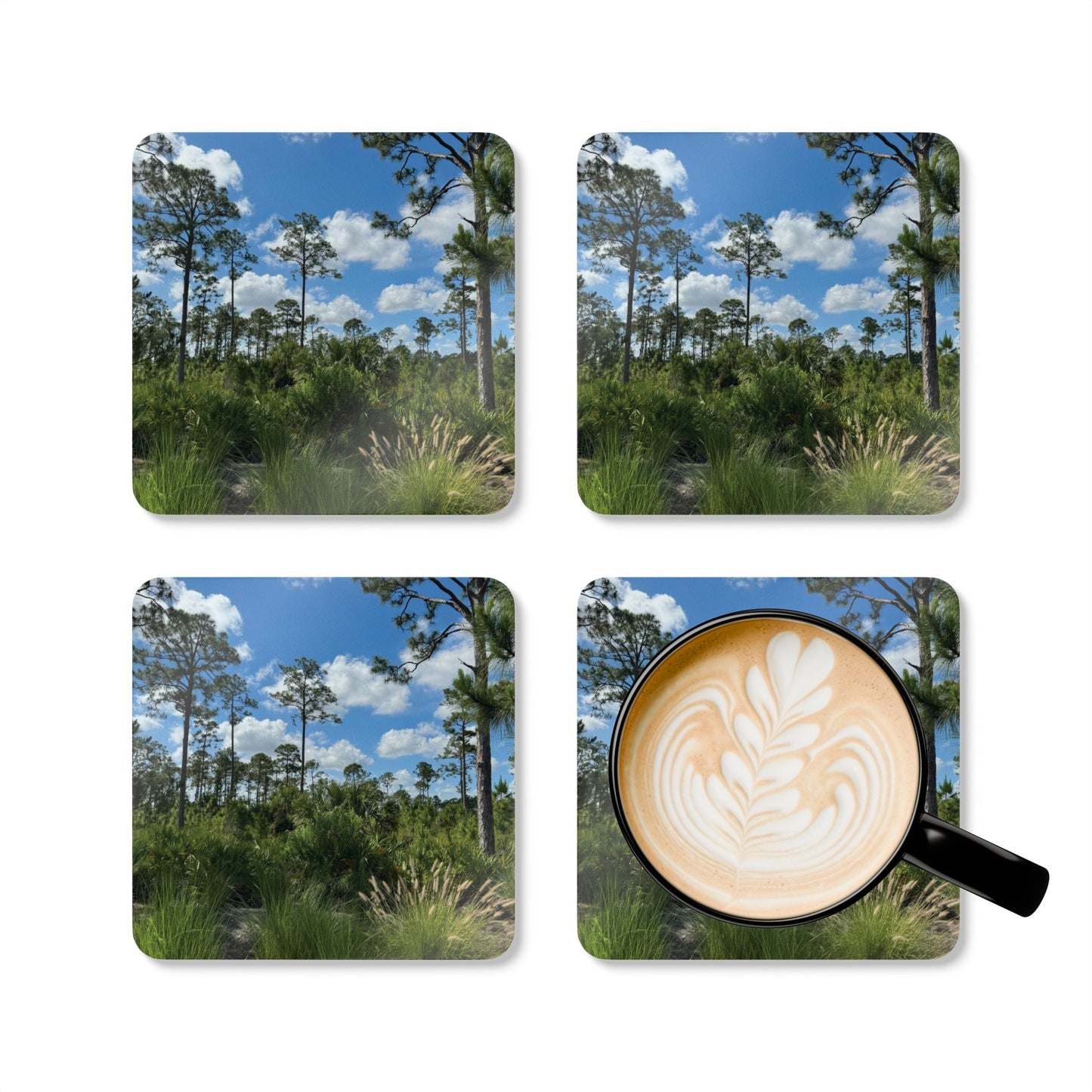 Corkwood Coaster Set- Babcock Ranch Preserve