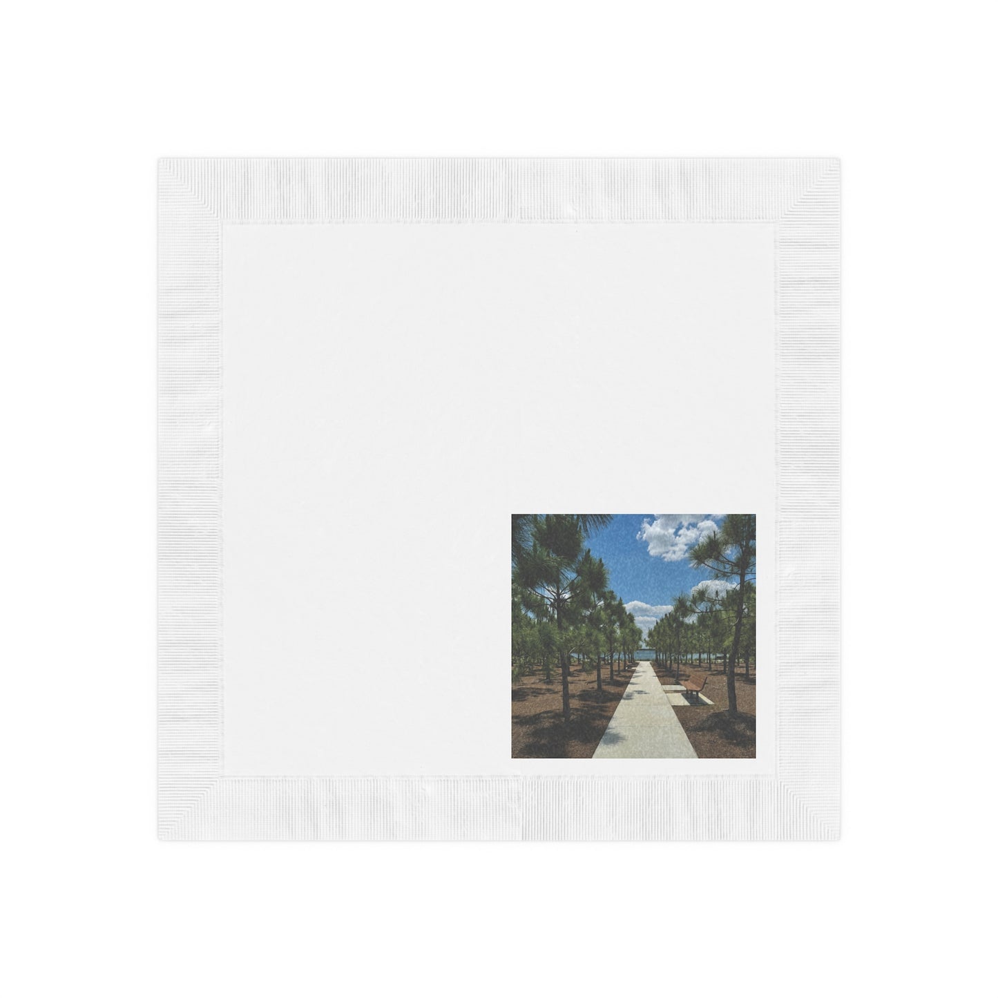 White Coined Napkins- Bullhorn Park