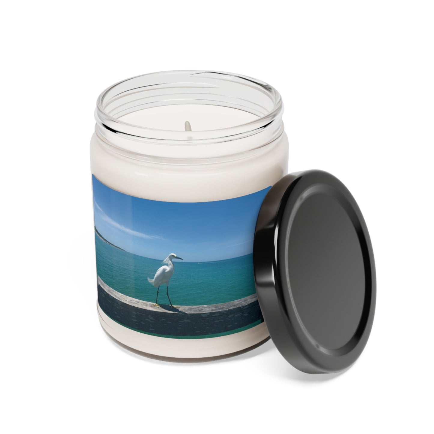 Scented Soy Candle, 9oz- Venice Beach